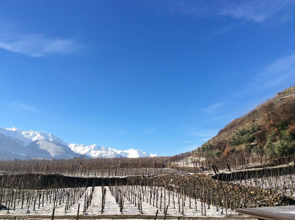 La Vita In Campagna Villa di Tirano Exteriér fotografie