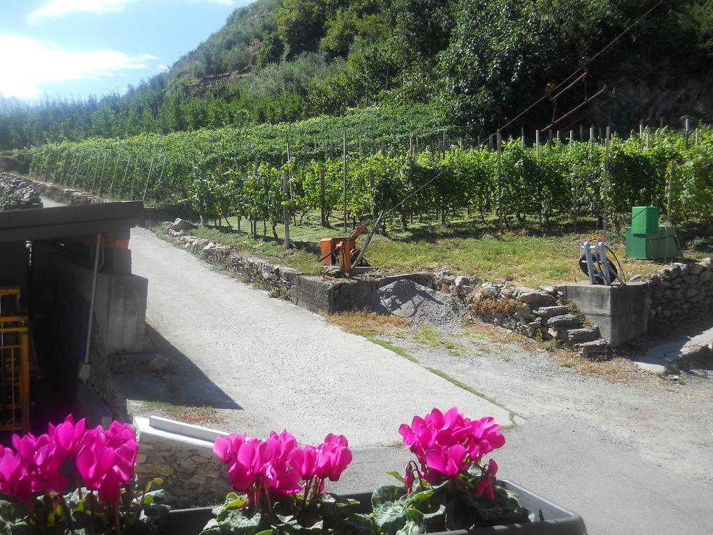 La Vita In Campagna Villa di Tirano Exteriér fotografie